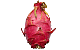 Drachenfrucht
