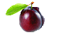 Pflaume