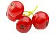 Rote Johannisbeeren