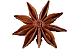 Sternanis